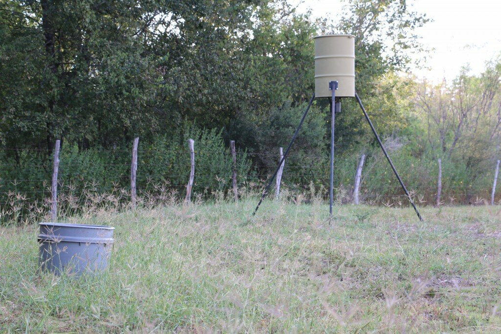 Primary Feeder
